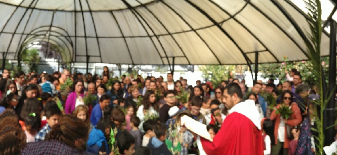 Celebración de Santa Rita de Casia